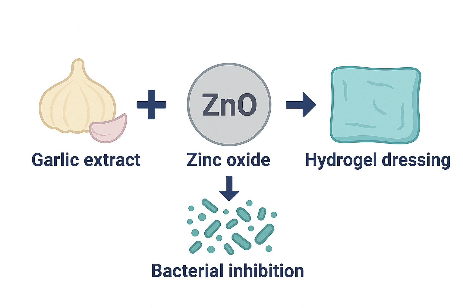 DEVELOPMENT OF HYDROGEL DRESSING MATERIALS INCORPORATED WITH ZINC OXIDE AND GARLIC EXTRACT FOR BACTERIAL INHIBITION